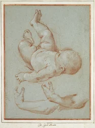 Der Säugling Romulus und zwei Studien eines linken Männerarms (Kreide auf Papier)